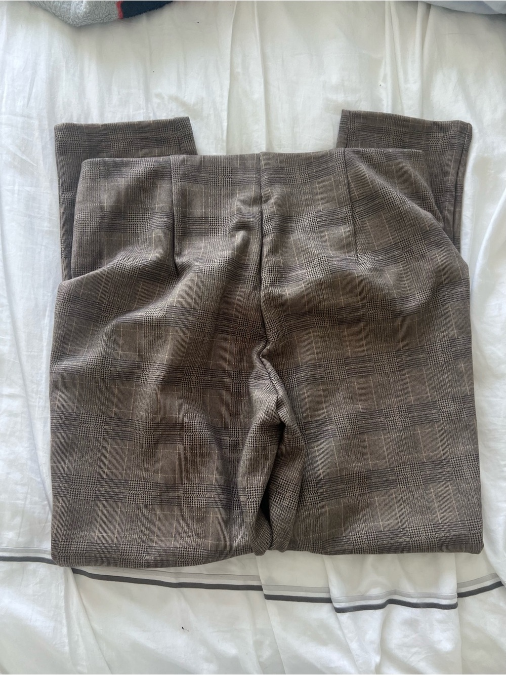 Philosophy Dress Pants Brown - Picture 3 of 6